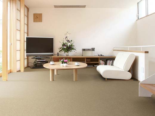 dixie group carpet in home.