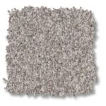 Anderson Tuftex Carpet sample one.