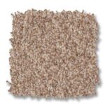 Anderson Tuftex Carpet sample two.