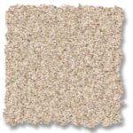 Anderson Tuftex Carpet sample three.