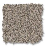 Anderson Tuftex Carpet sample four.