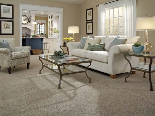 tuftex carpet in living room.