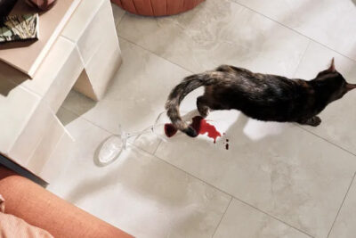 Coretec tile waterproof flooring.